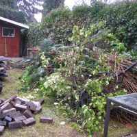 Tuin in Zwijndrecht