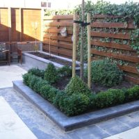 Tuin Papendrecht