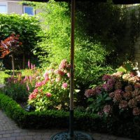 Onderhoudscontract