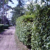 Projectmatig onderhoud