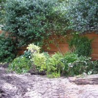 Nieuwe aanleg tuin in Kralingen(Rotterdam)