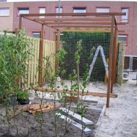 Tuin Schiedam