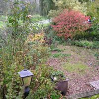 Betreft een grote tuin in Papendrecht