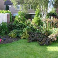 Tuin Dordrecht