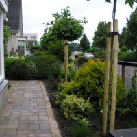 Aanleg en renovatie tuin Sliedrecht