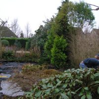 Aanleg en renovatie tuin in Raamsdonksveer